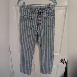 Pilcro and the Letterpress High Rise Striped Blue Jeans Size 28